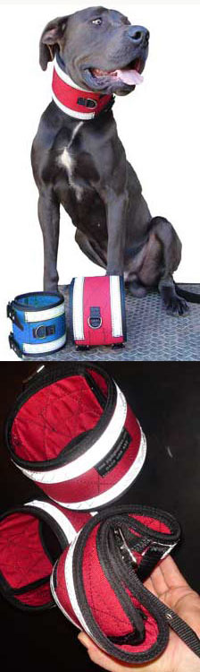 Chest plates clearance for dogs